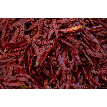 Organic Guntur Dry Red Chilli